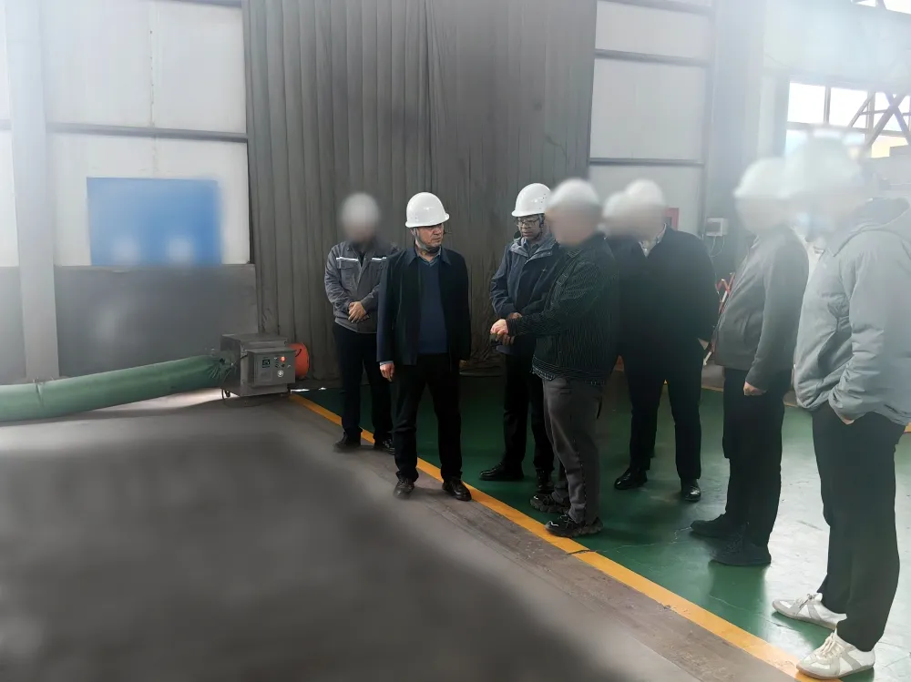 高新技術(shù)企業(yè)，超百項專利技術(shù)！甘肅某地方政府實地對接復雜難選金屬礦高效開發(fā)利用投資選址項目