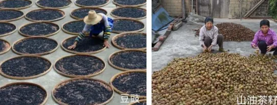 集團(tuán)全力助推廣西賀州昭平縣委托招商引資，助力產(chǎn)業(yè)蝶變升級(jí)！